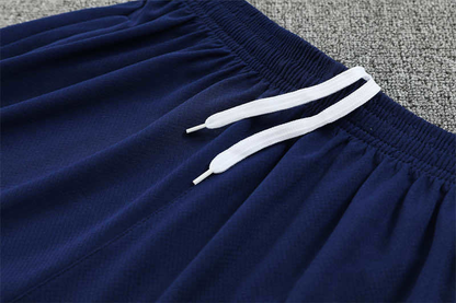 Tottenham Training Shorts 2025/2026