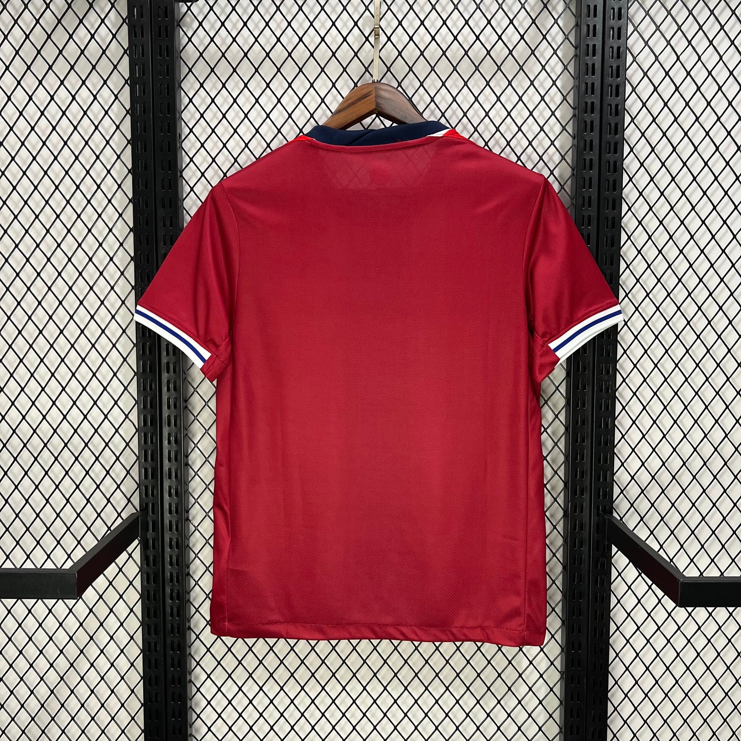 #10 ﾃ賄egaard Norway Home Jersey 2024/2025